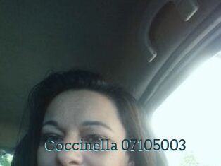 Coccinella-07105003