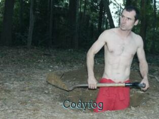 Codyfog
