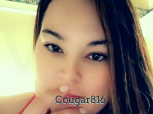 Cougar816