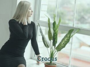 Crocus