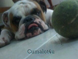 Cumalot4u