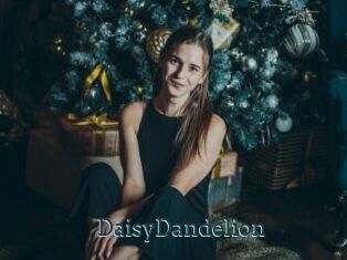 DaisyDandelion