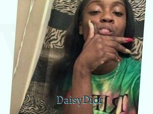 DaisyDior