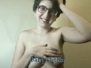 DaisyTheKat