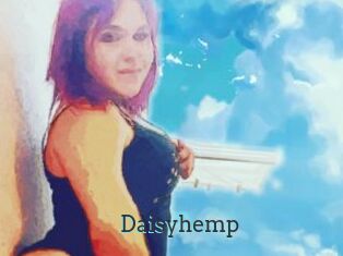 Daisy_hemp
