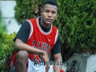 DaneWang