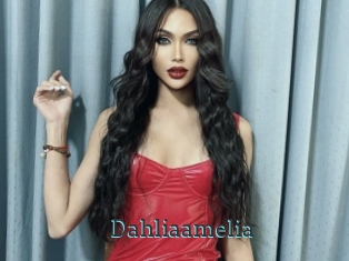 Dahliaamelia
