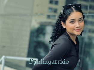 Dahliagarrido