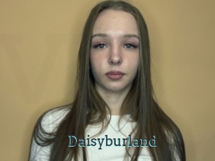 Daisyburland