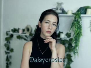 Daisycrosier
