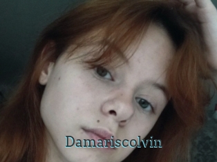 Damariscolvin