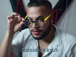 Daminbricksub