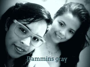Dammins_gray