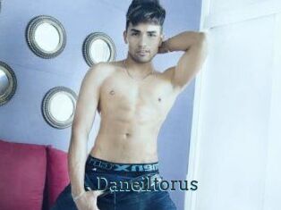 Daneil_torus