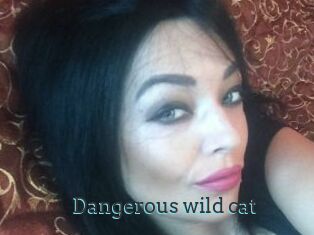 Dangerous_wild_cat