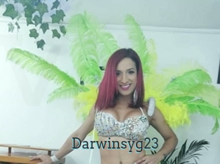 Darwinsyg23