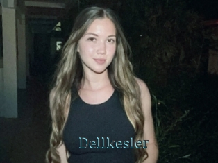 Dellkesler