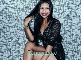 Dianesnake