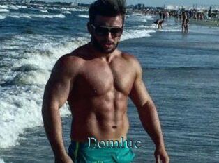Domluc