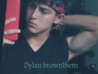 Dylan_brown15cm