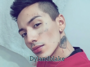 Dylandblake