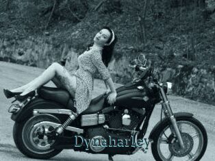 Dynaharley