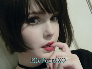EllePurrsXO