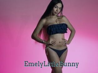 EmelyLittleBunny
