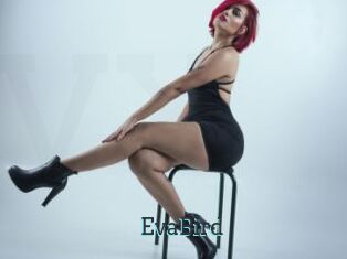 EvaBird
