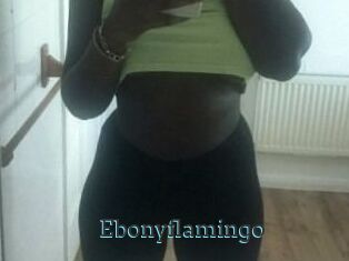 Ebony_flamingo