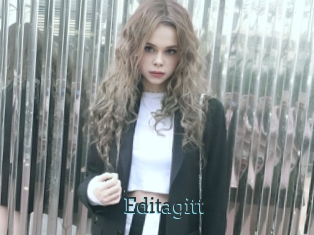 Editagitt