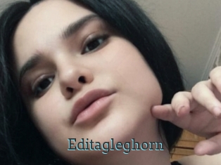 Editagleghorn