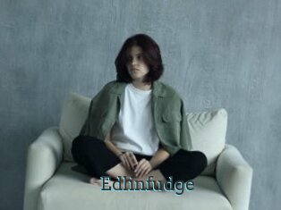 Edlinfudge