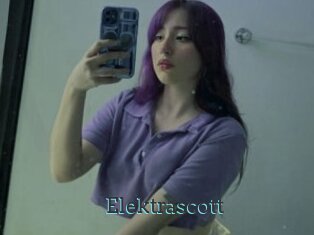 Elektrascott