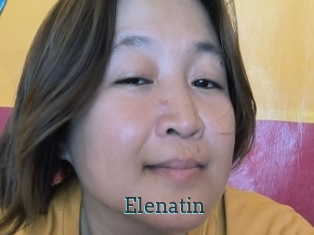 Elenatin