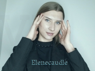 Elenecaudle