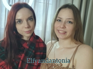 Elfyandantonia