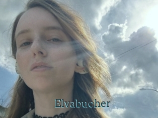 Elvabucher