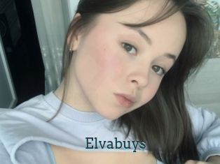 Elvabuys