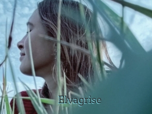 Elvagrise