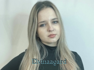 Elvinaagard