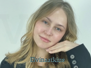 Elvinaatkins