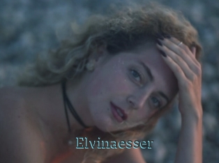 Elvinaesser