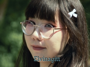Elvinagitt