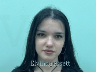 Elvinagossett