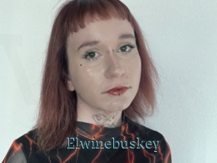 Elwinebuskey