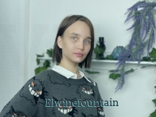 Elwinefountain