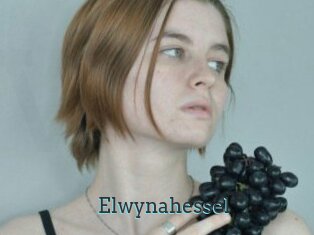 Elwynahessel