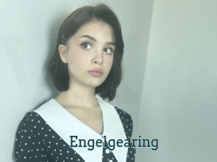 Engelgearing