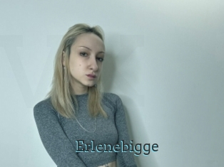 Erlenebigge